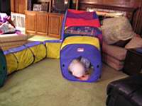 P1020010.jpg