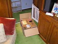 P1040014.jpg