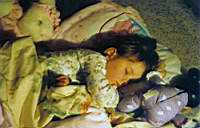 scan0009.jpg