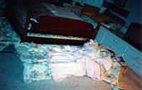 scan0010.jpg