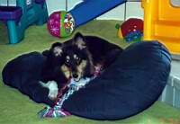 scan0025_1.jpg