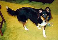 scan0033.jpg