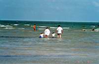 scan0051_1.jpg