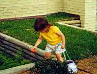 scan0086.jpg
