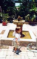 scan0100.jpg