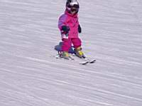 P1010028_1.jpg
