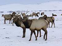 P2020123.jpg