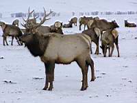 P2020126.jpg