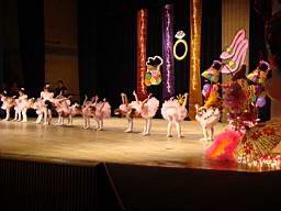 DSC00806.jpg