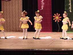 DSC03800.jpg