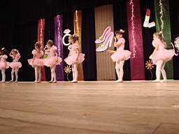 DSC03862.jpg