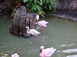 DSC03923.jpg