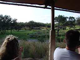 DSC03949.jpg