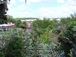 DSC04079.jpg