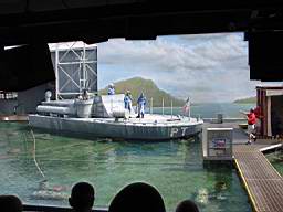 DSC04110.jpg